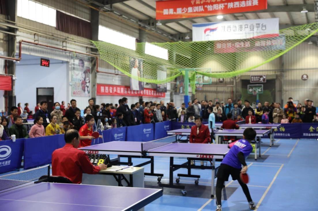 通过精湛的 通过精湛的