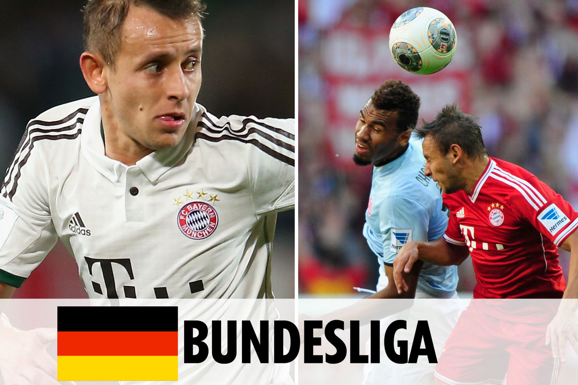 了一个绝佳 了一个绝佳